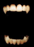teeth